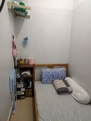 City Square Residences (D8), Condominium #635556271